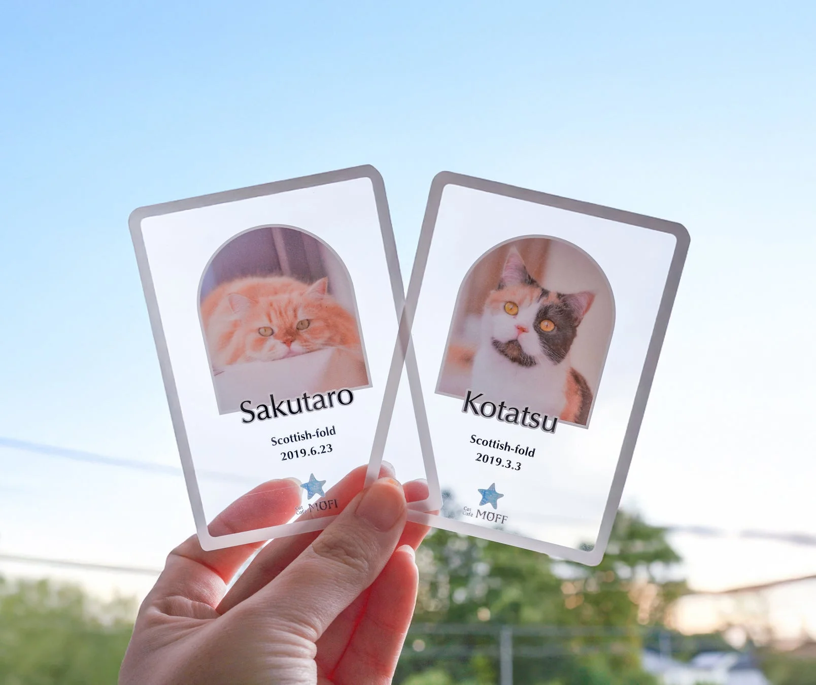 クリア素材を使用したカード