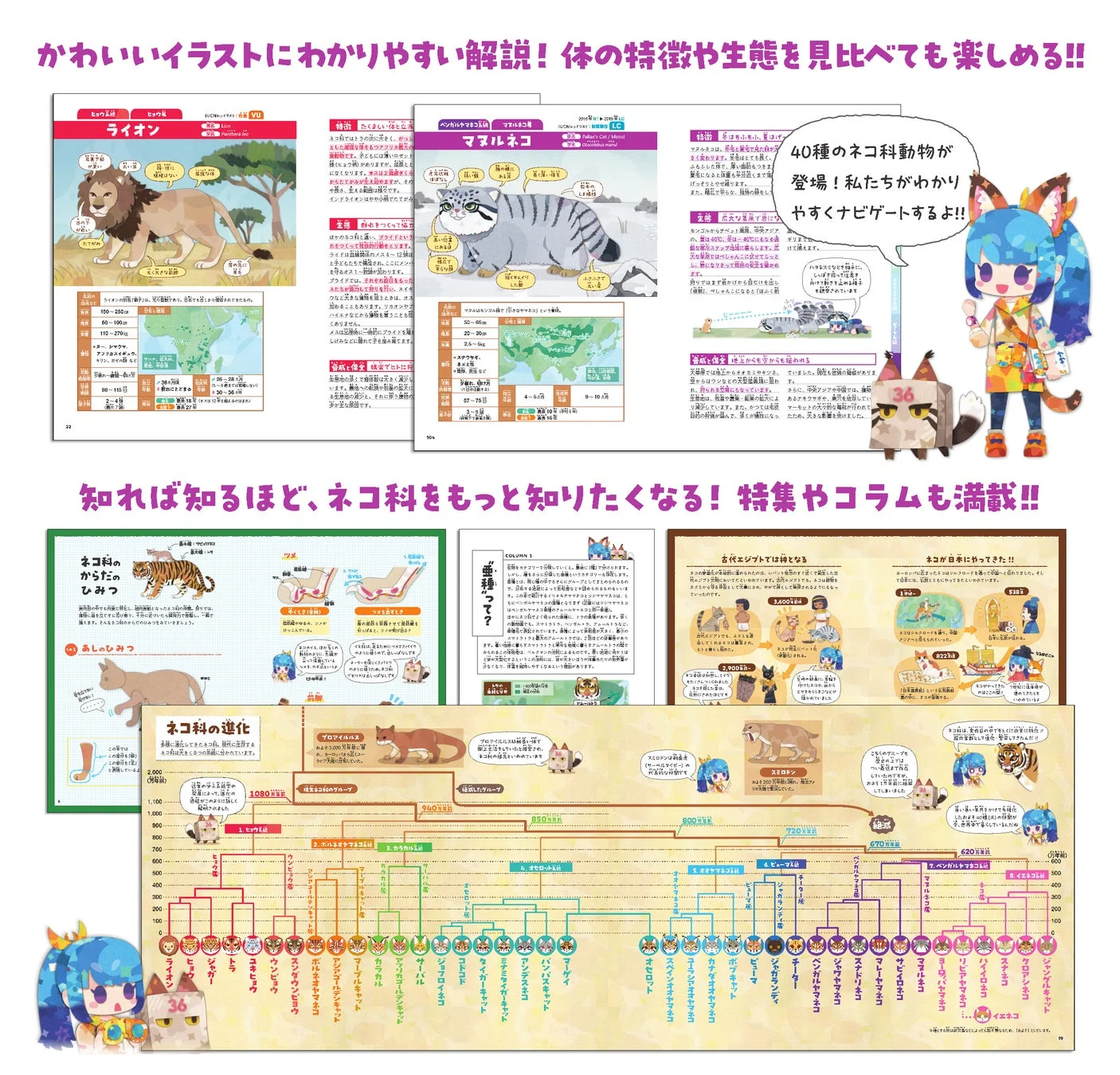 書籍の紹介ページ