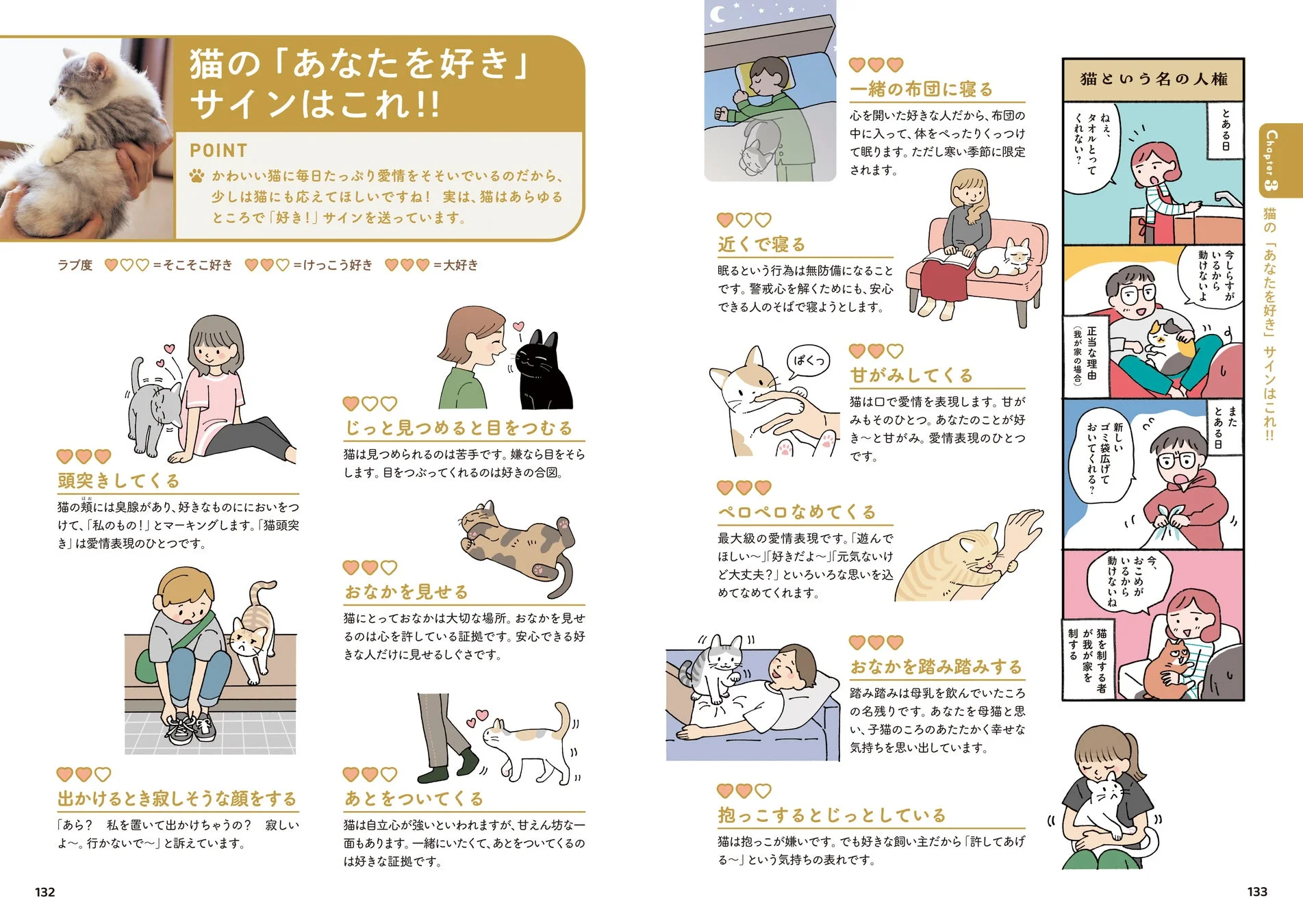 猫の「あなたを好き」サイン