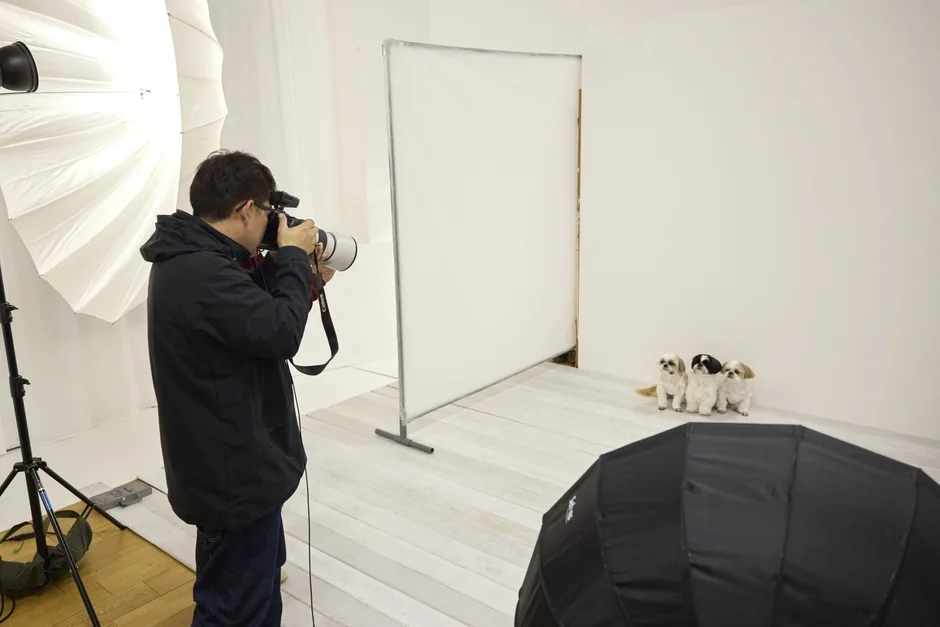 プロのカメラマンによる犬の撮影風景