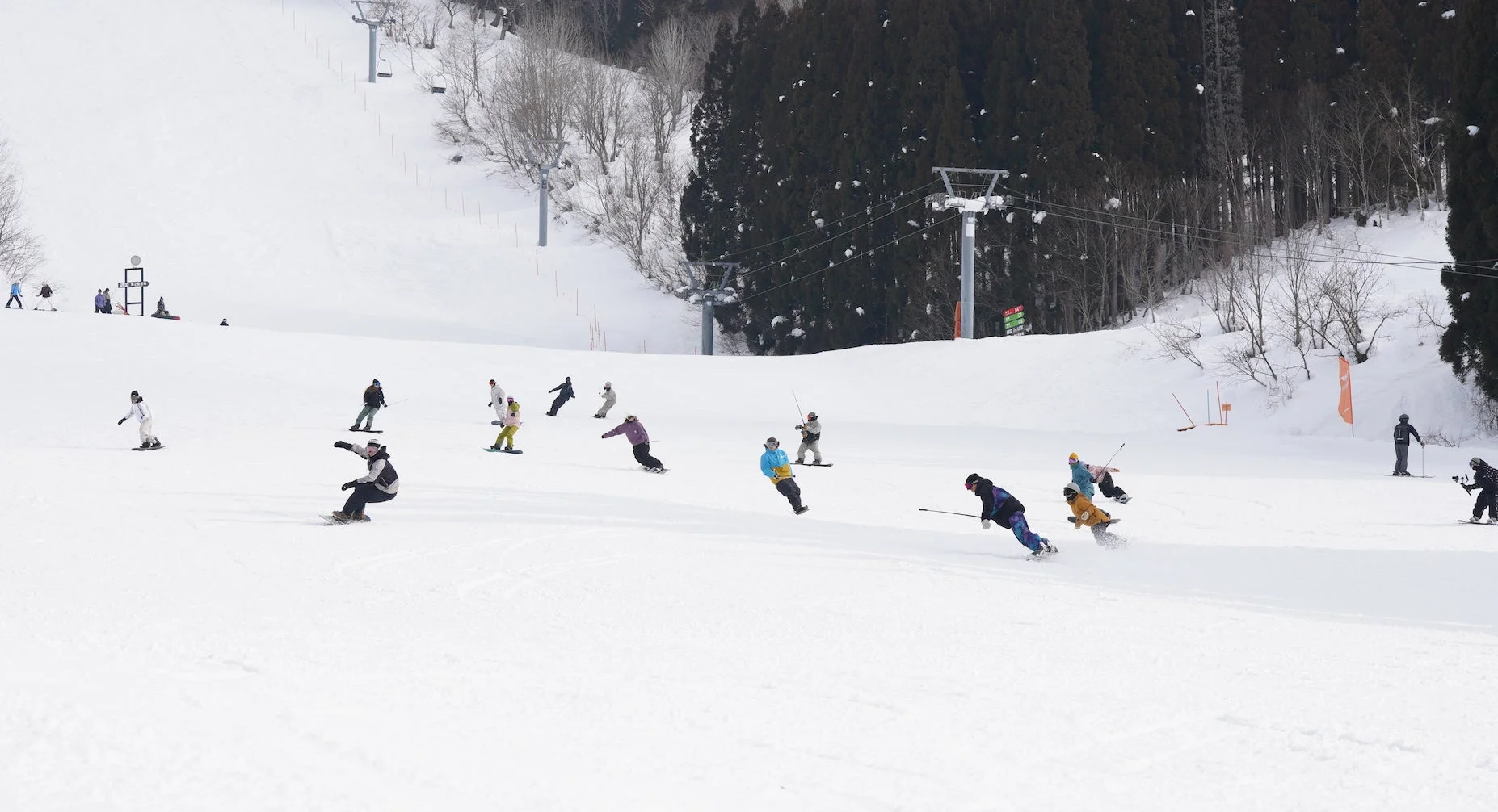 ゲレンデを滑走するスキーヤーとスノーボーダー