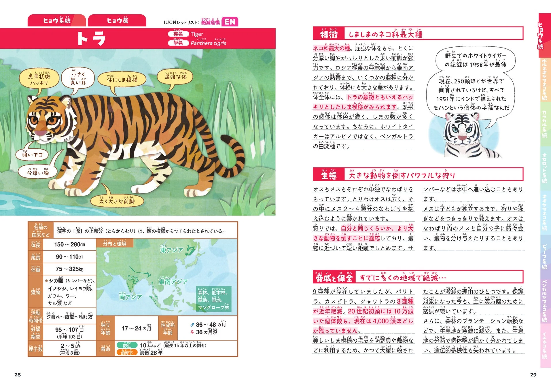 トラの紹介ページ