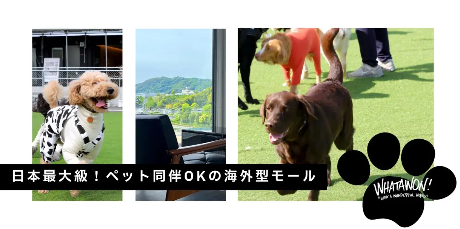 WHATAWONのドッグランと施設