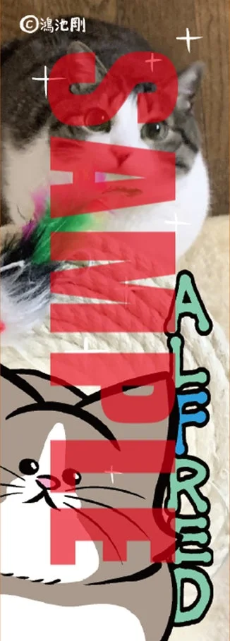 丸善ジュンク堂書店特典 オリジナルしおり