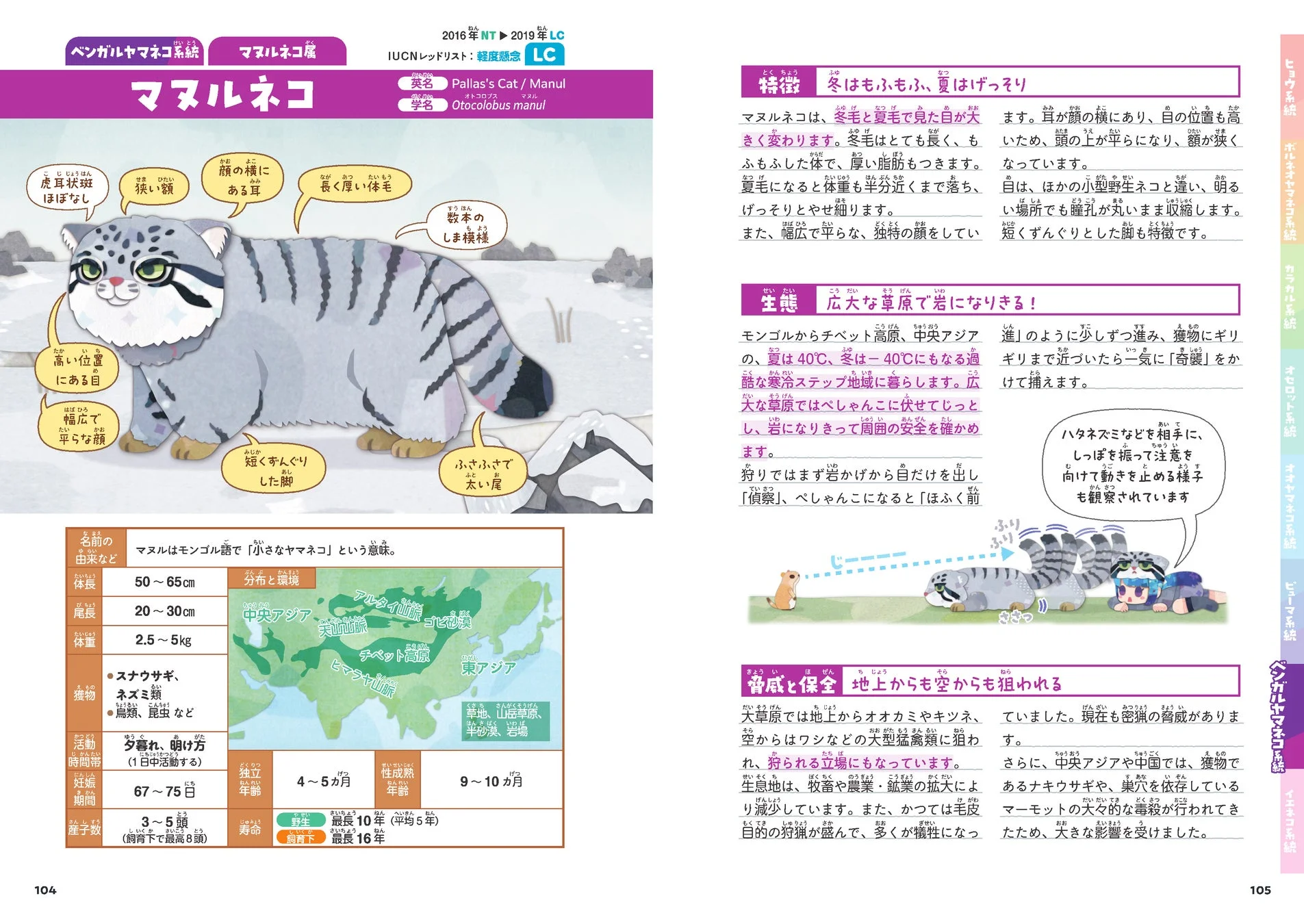 マヌルネコの紹介ページ