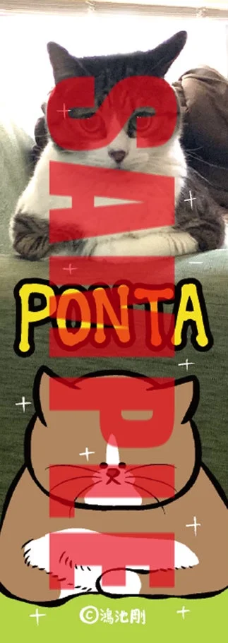 ブックファースト特典 オリジナルしおり