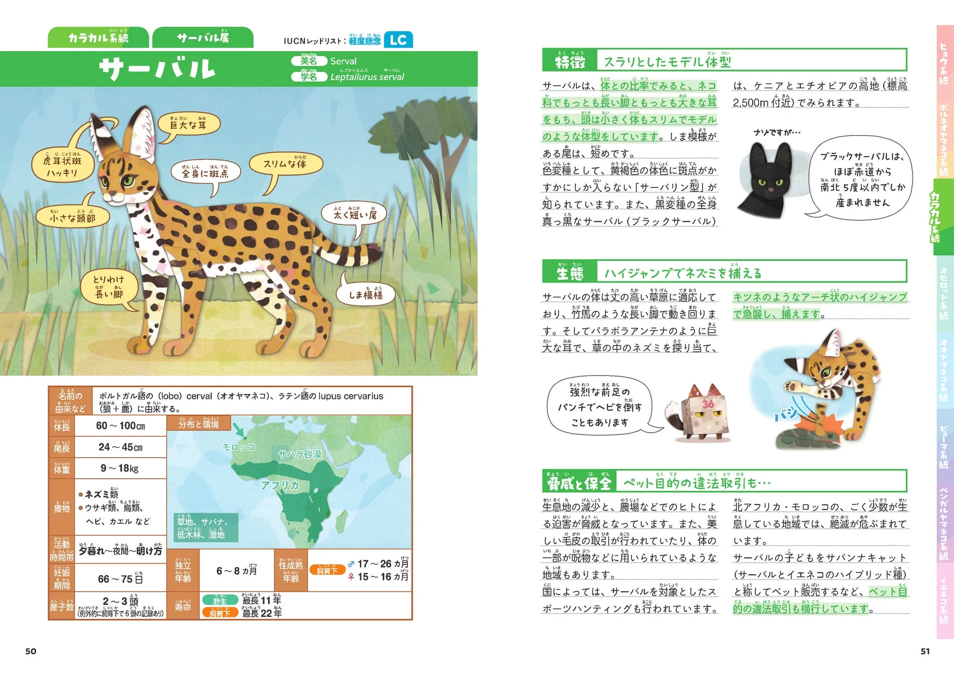 サーバルの紹介ページ