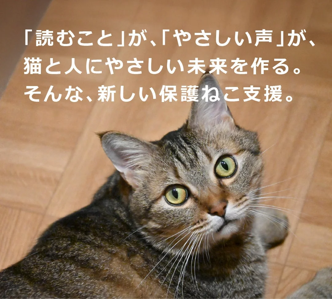 キジトラ猫が上を見上げる構図の画像で、「読むこと」と「やさしい声」が猫と人にやさしい未来を作るという、新しい保護ねこ支援を呼びかけるメッセージが書かれています。