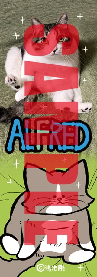 有隣堂特典 オリジナルしおり