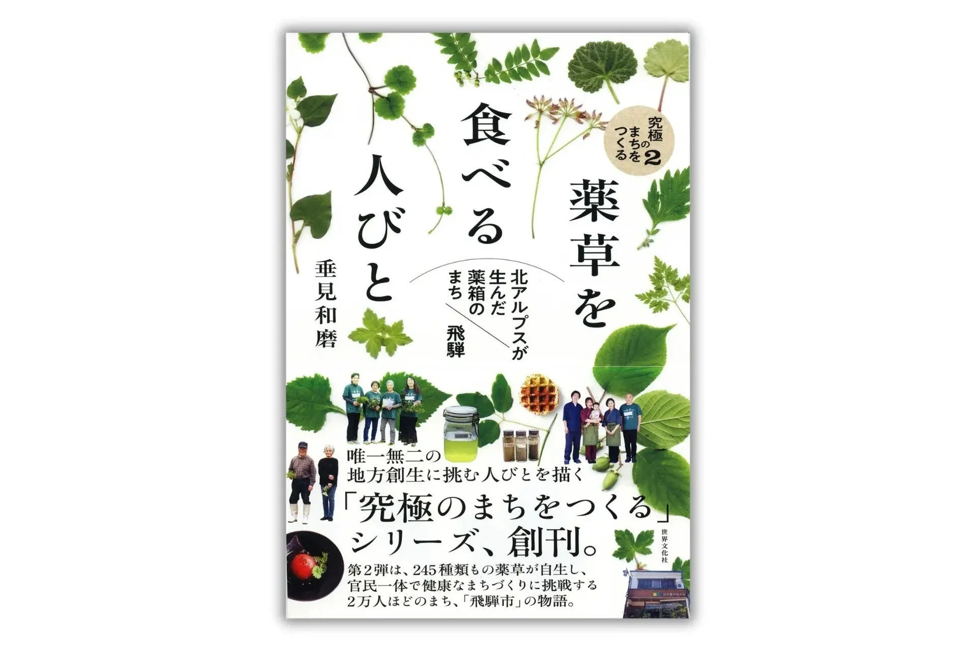 書籍「究極のまちをつくる 2 北アルプスが生んだ薬箱のまち 飛騨」の表紙