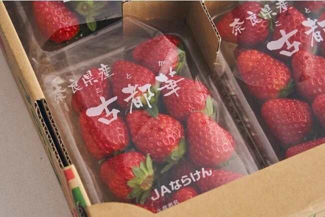 ダンボール箱に詰められた、奈良県産のブランドいちご「古都華」のパック