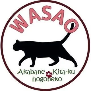 WASAOロゴ