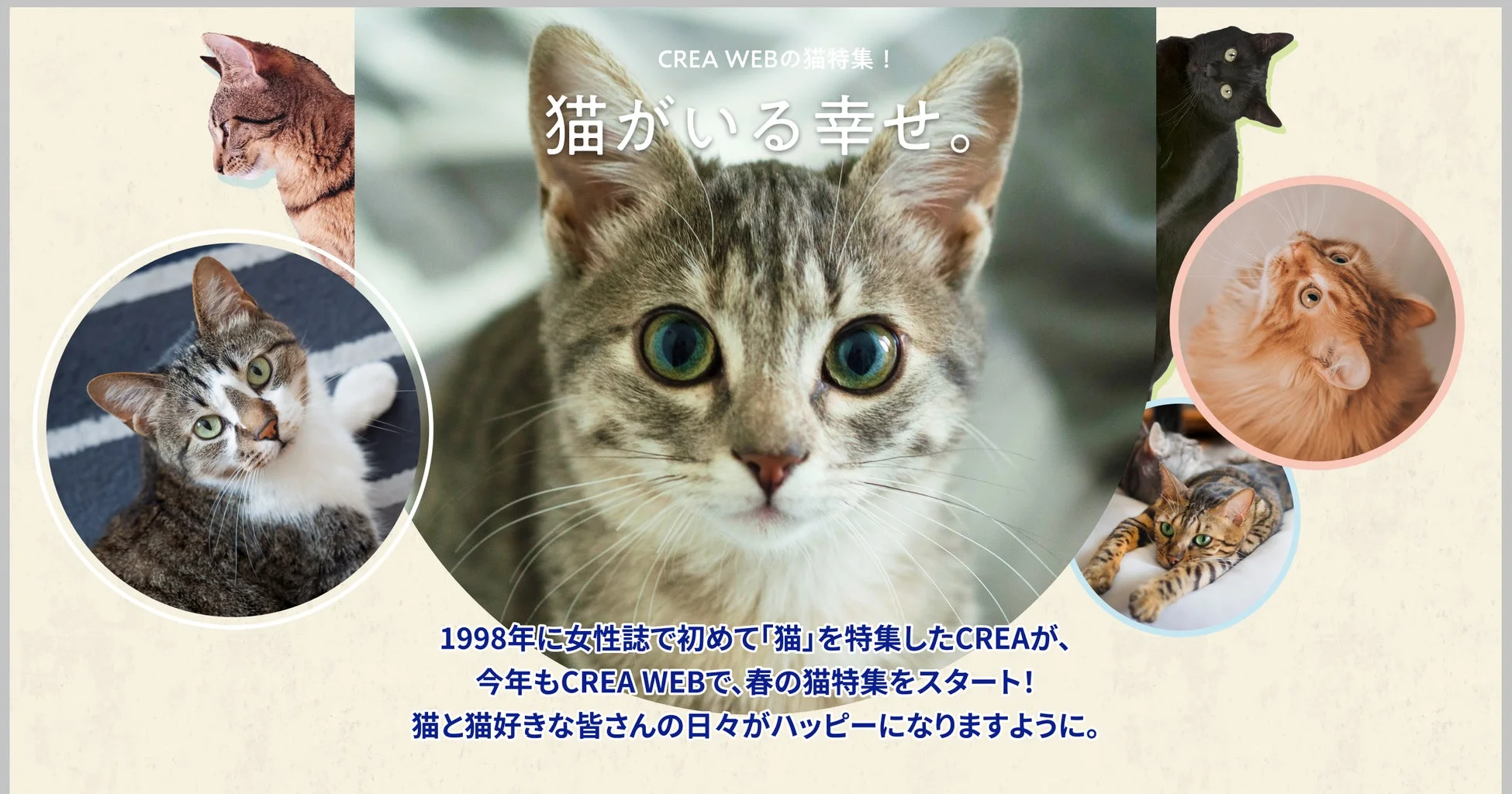 CREA WEBの猫特集