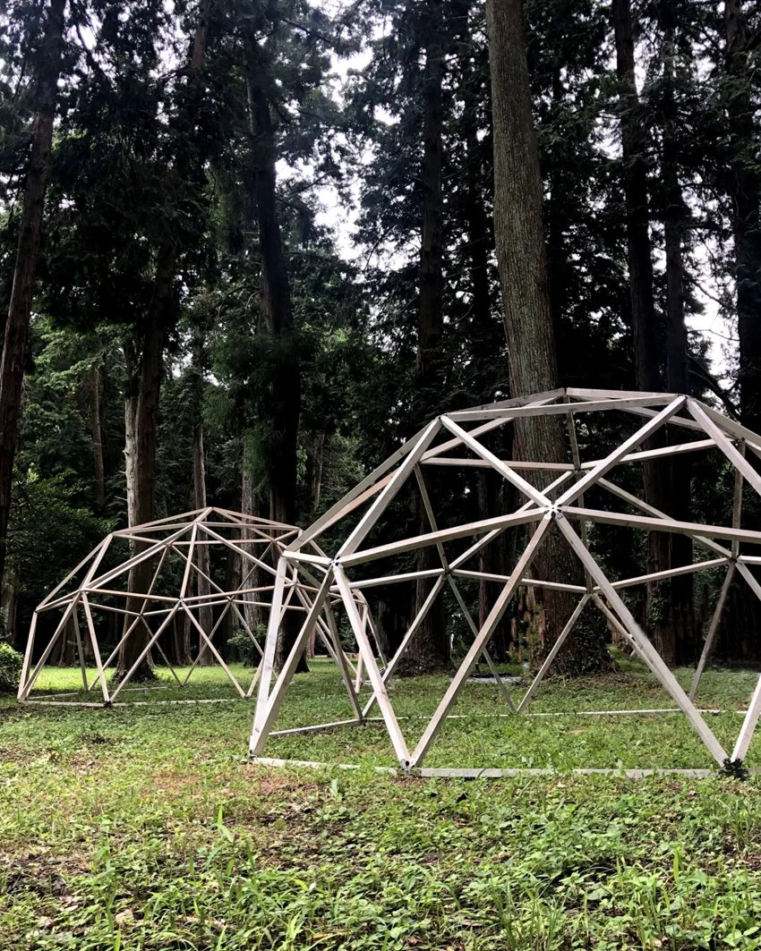 森林の奥深くに設置された、2つの白いフレーム状のジオデシックドーム構造物