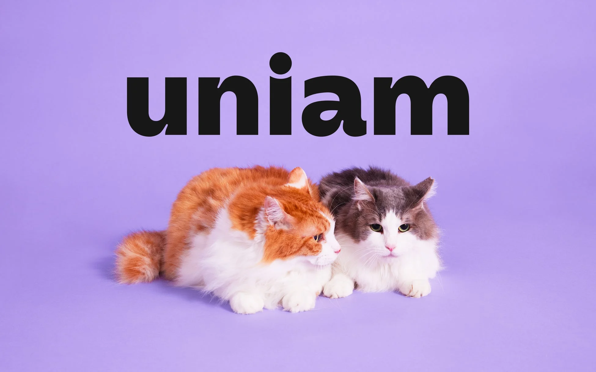 uniamのロゴと2匹の猫