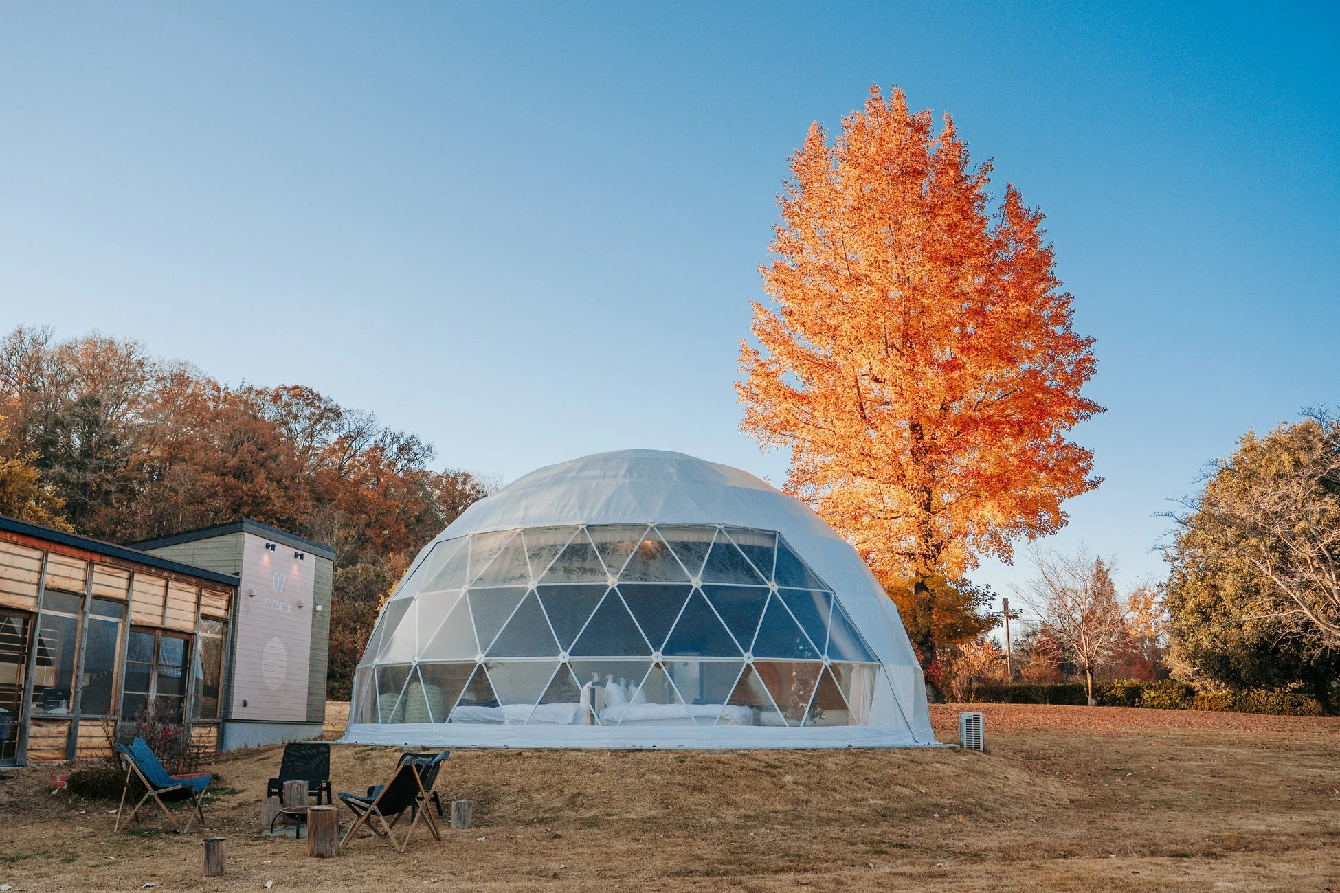 グランピングテント