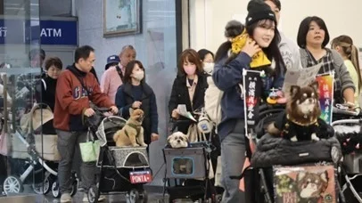 ペットと人々が行き交う様子