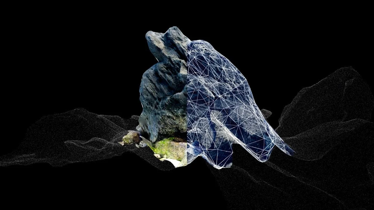 Encoded Nature on Cloth