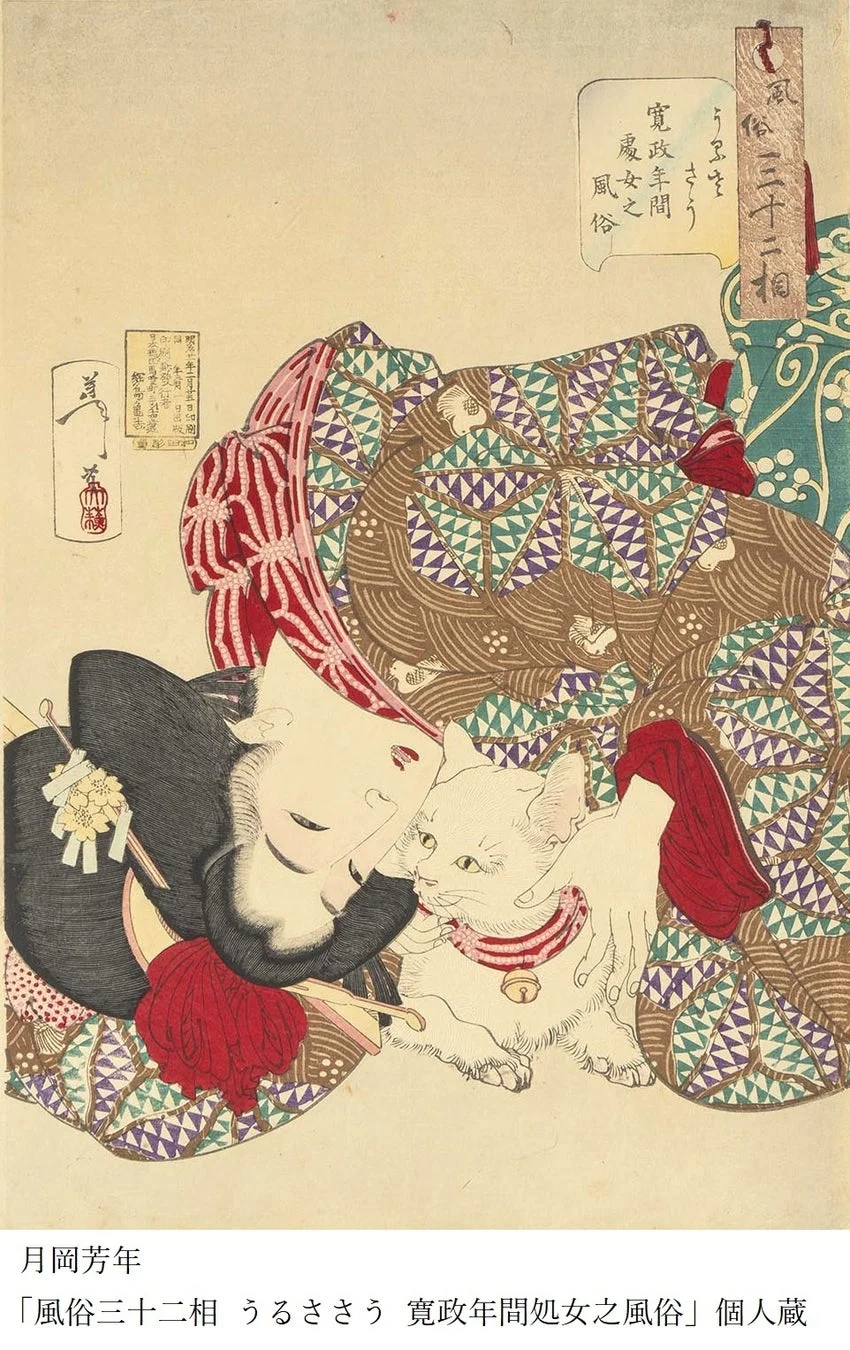 月岡芳年が描いた浮世絵。寛政年間の風俗を主題とし、着物姿の女性が白い猫と穏やかに戯れる日常の一場面を描写している。