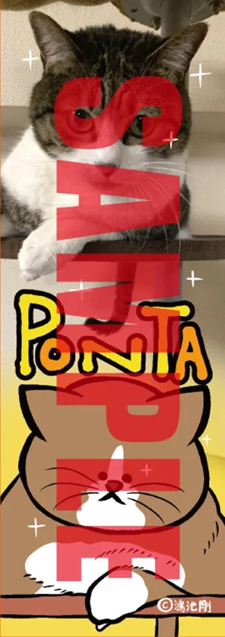 蔦屋書店特典 オリジナルしおり