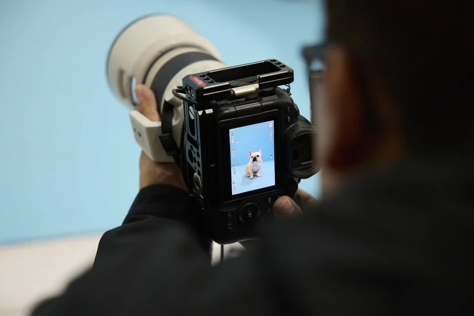 カメラのモニターに映るフレンチブルドッグ