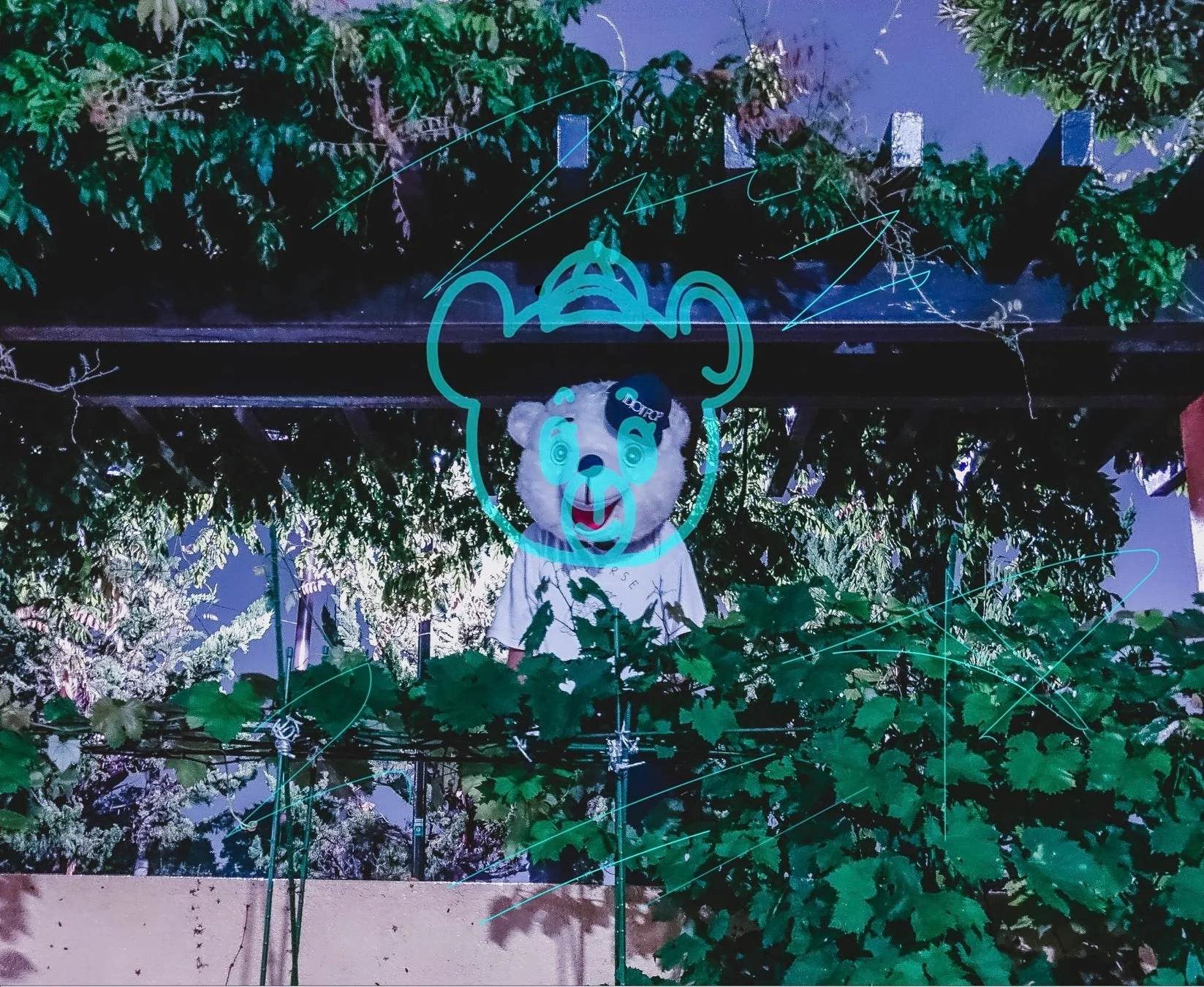 Idiot Pop プロフィール画像