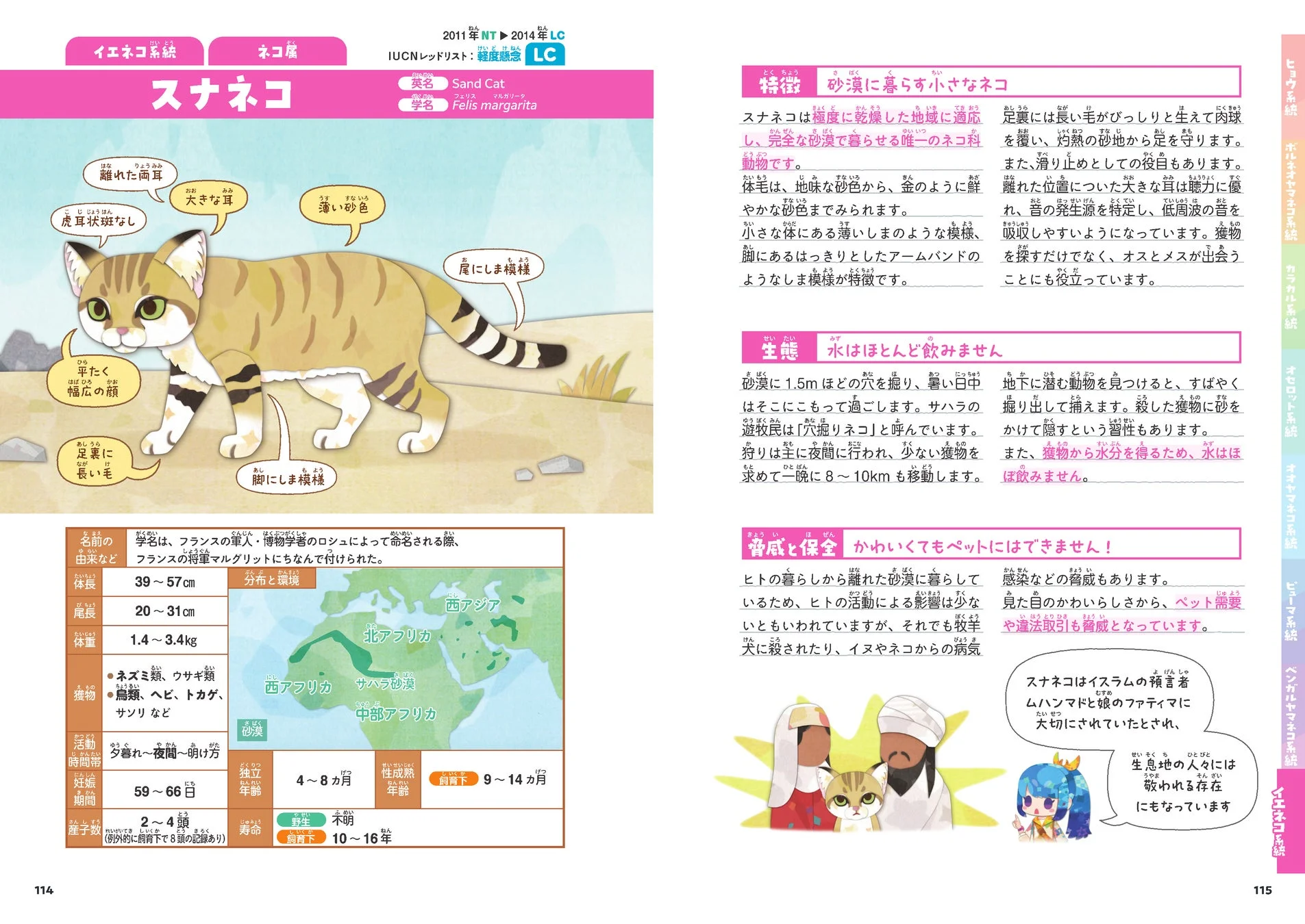 スナネコの紹介ページ