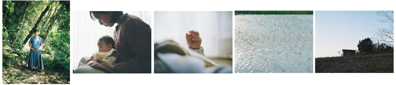 グランプリ作品「身土不二」