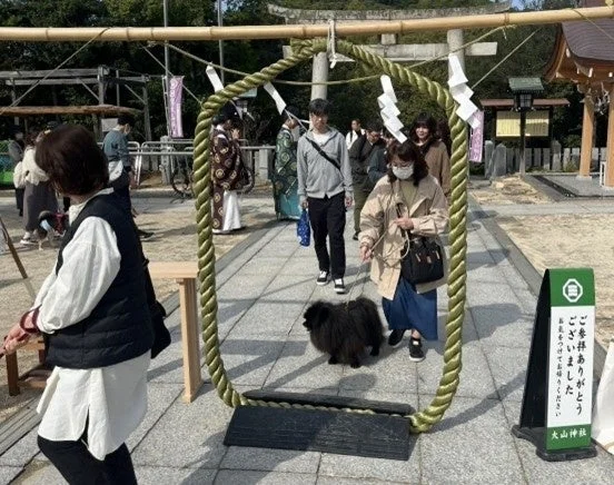 茅の輪くぐりを行う参拝者と犬