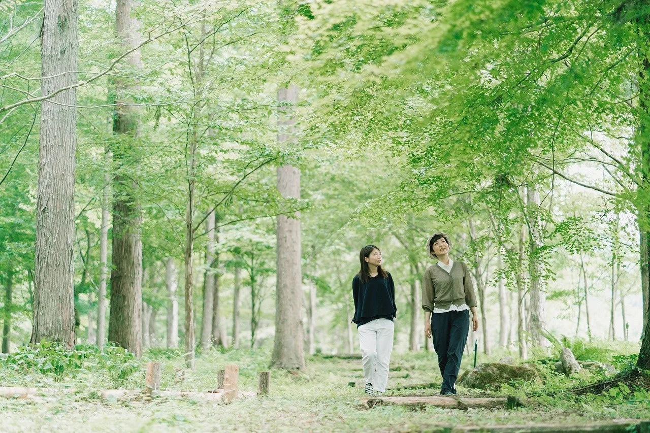 新緑が美しい森の中を散歩する女性たち