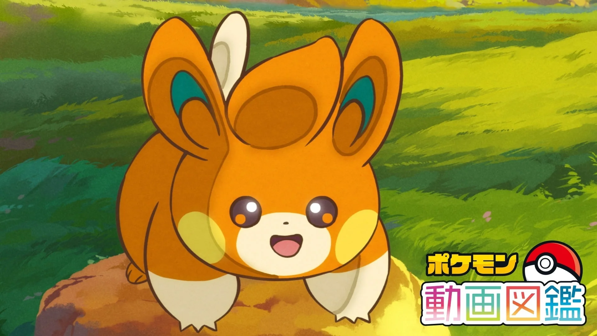 ポケモン動画図鑑