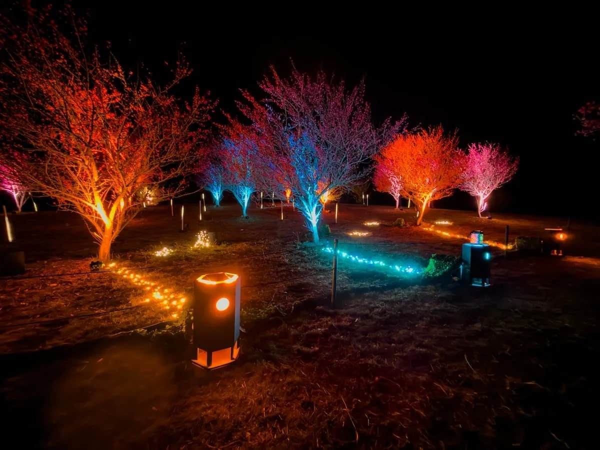 色鮮やかな光の道