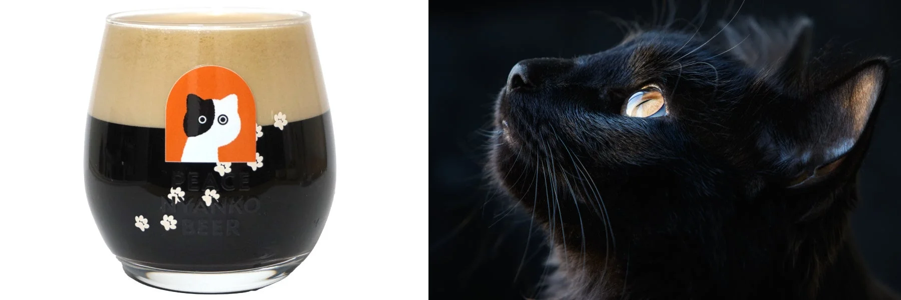 猫のキャラクターと肉球がデザインされた黒ビールのグラスと、金色の目が印象的な黒猫のアップ