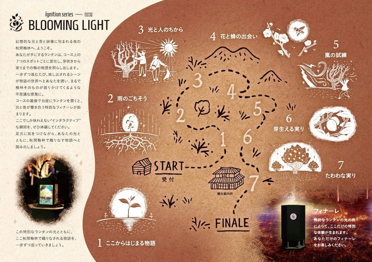 BLOOMING LIGHTの体験イメージ