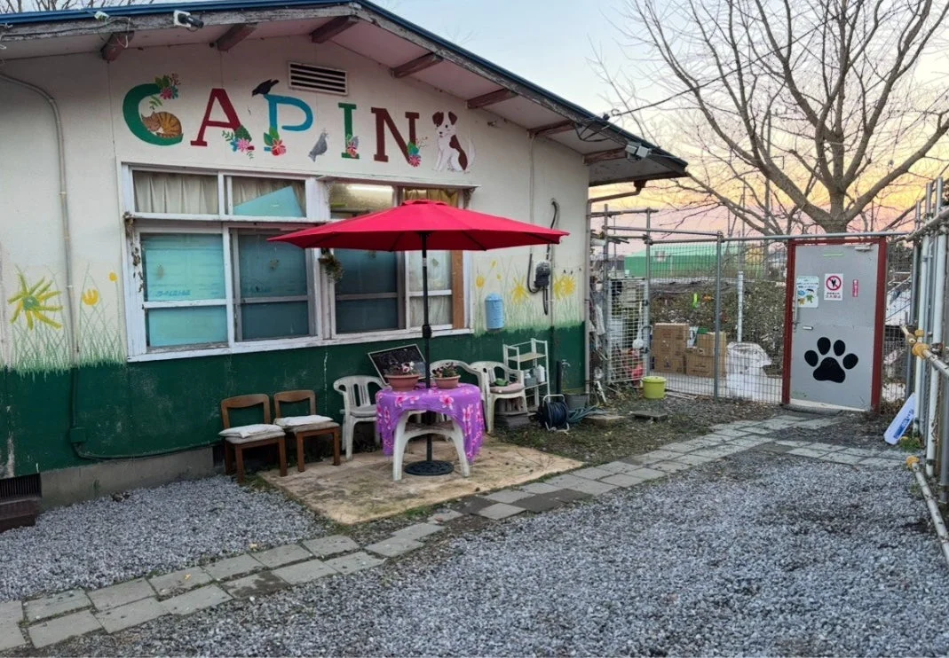 動物保護施設「CAPIN」の外観