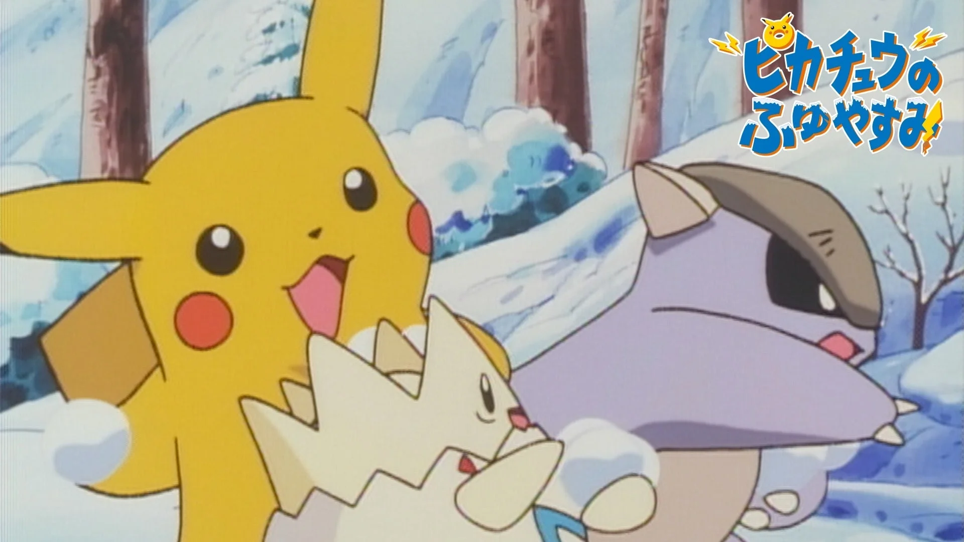 ピカチュウのふゆやすみ