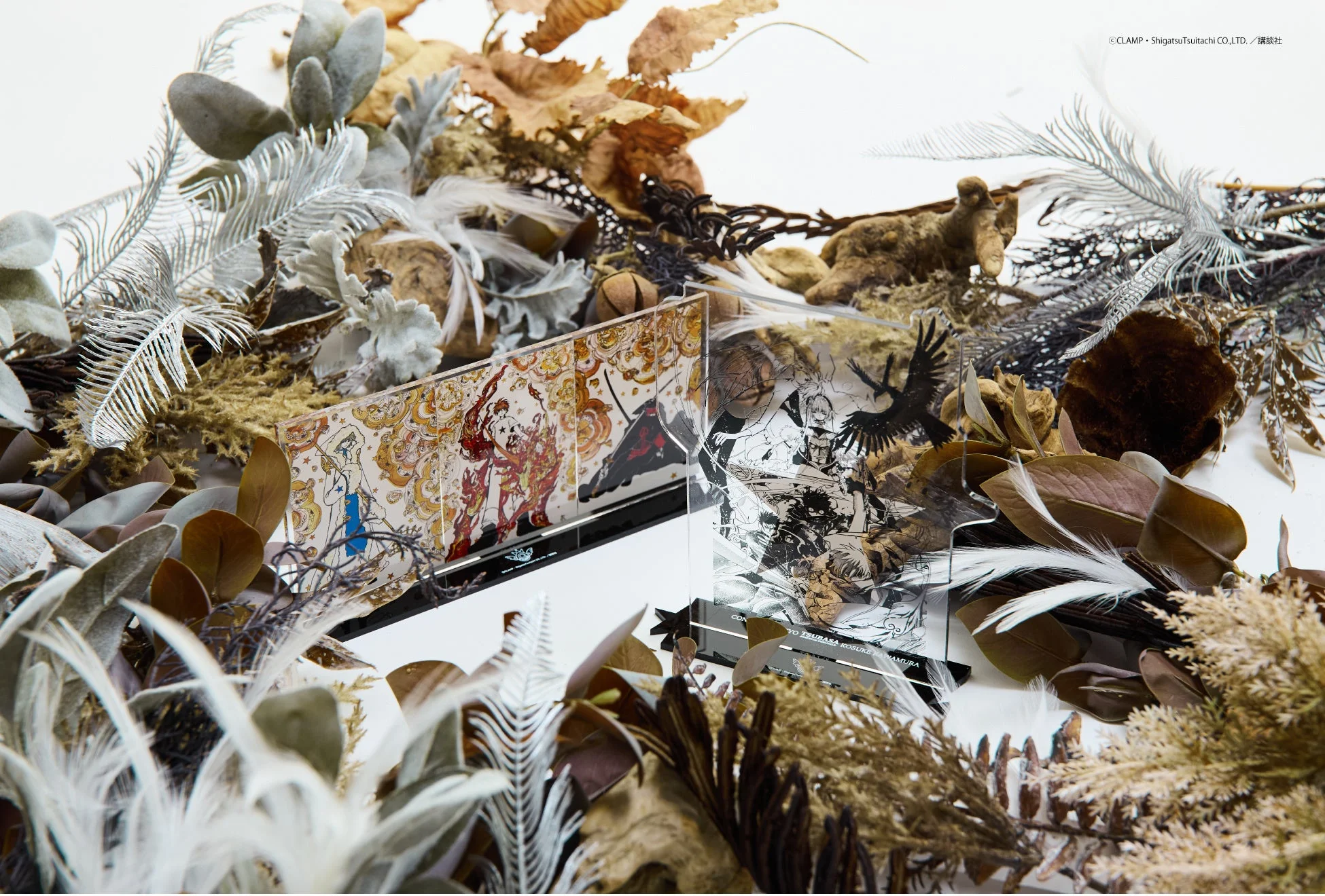 GRAPHIC ACRYLIC STAND