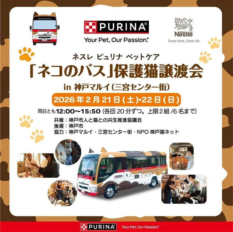 ネコのバス保護猫譲渡会
