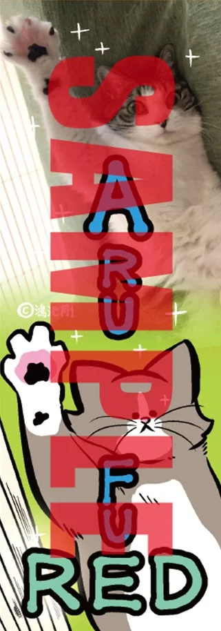 楽天ブックス特典 オリジナルしおり