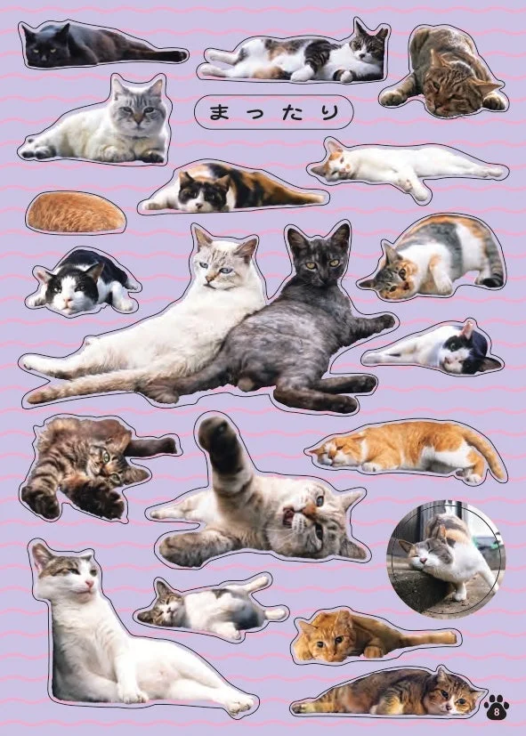まったり過ごす猫たちのシール