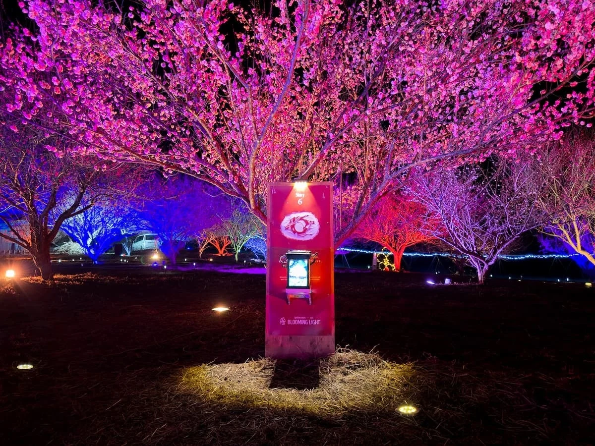 BLOOMING LIGHTの看板とライトアップされた木々