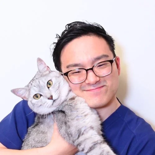 猫好き獣医師いとぅ〜先生