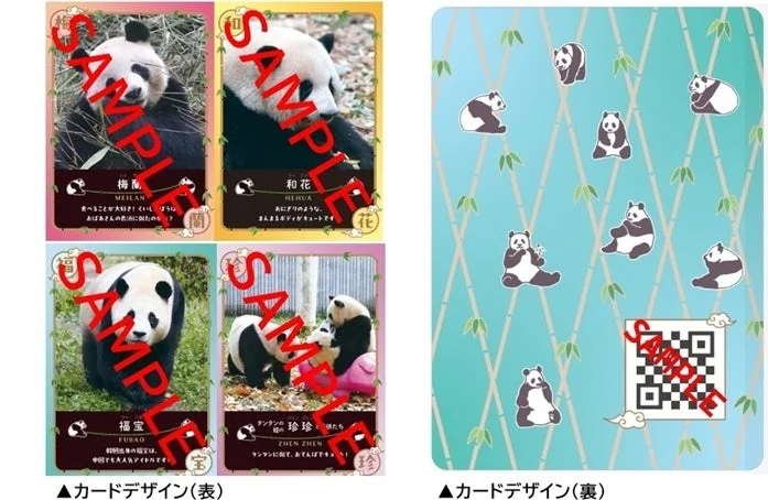 カードデザイン