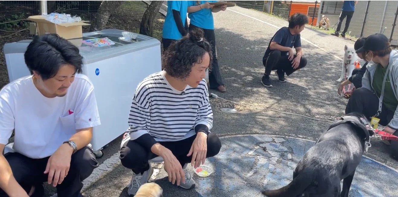 犬と人々が屋外で交流している様子