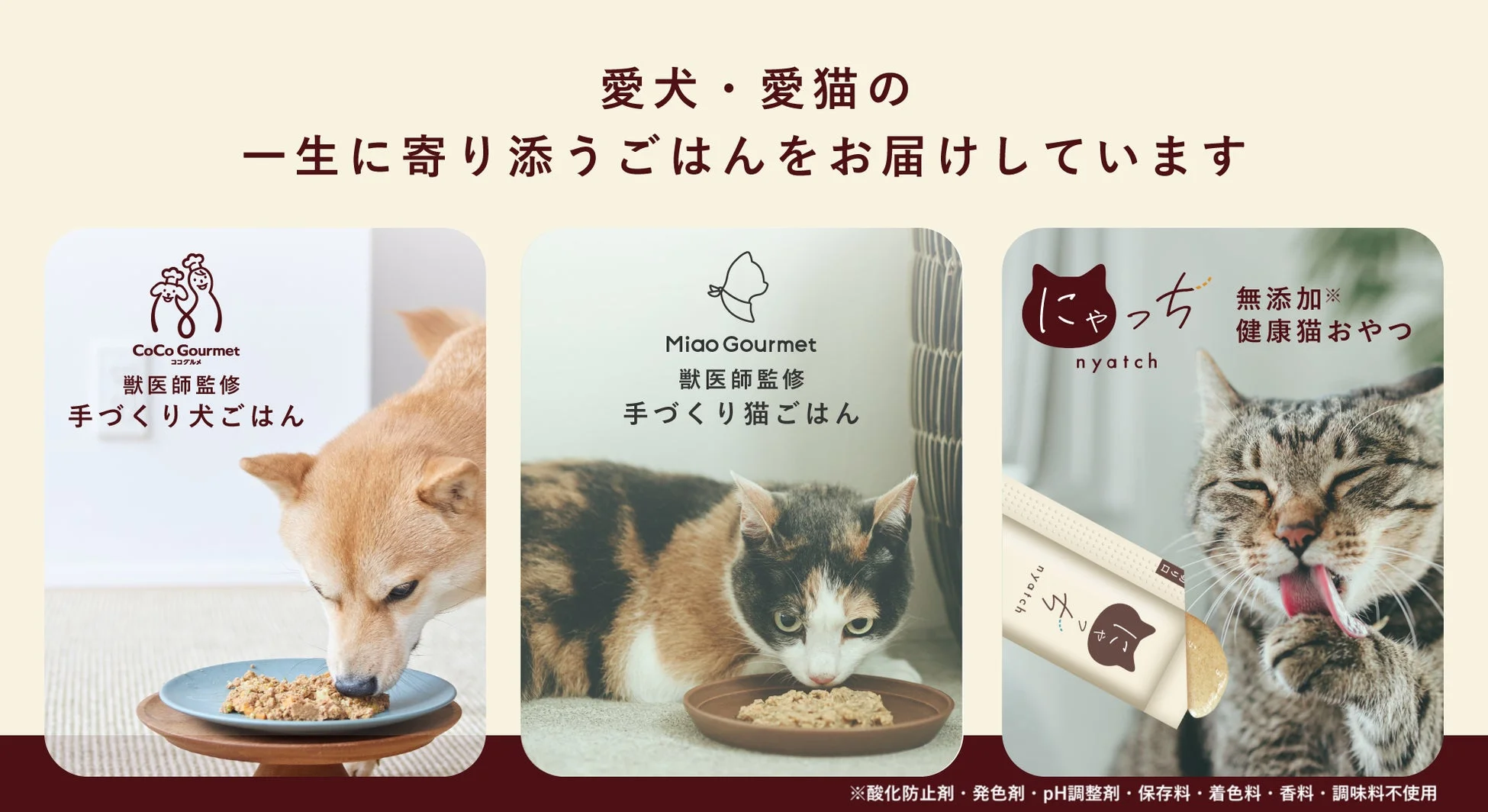 ココグルメ、ミャオグルメ、にゃっちの紹介