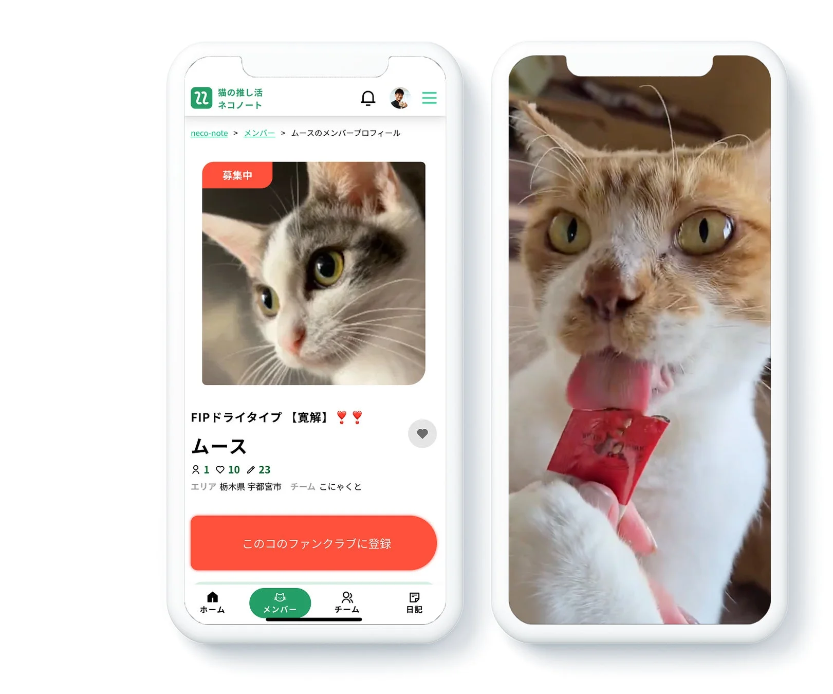 スマートフォン画面に猫の推し活アプリ「ネコノート」のプロフィール画面と、おやつを舐める猫の動画が表示