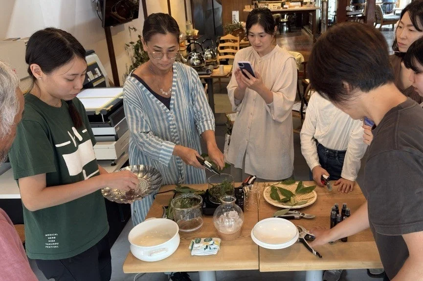 薬草を使ったワークショップに参加する女性たち