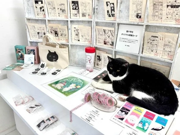 猫とグッズが並ぶショップの様子