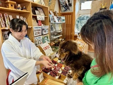 巫女が犬と参拝者に対応する様子