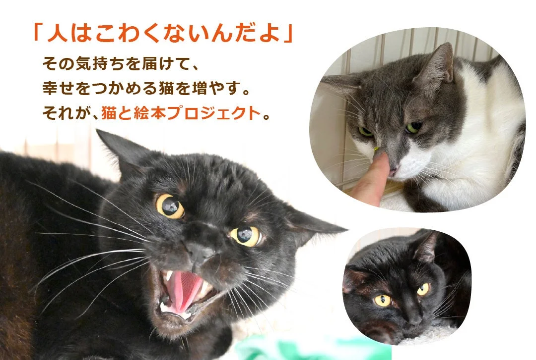 「人はこわくないんだよ」というメッセージを伝え、幸せな猫を増やす「猫と絵本プロジェクト」を紹介する画像です。最初は威嚇する猫が、人の優しさで安心する様子が描かれています。